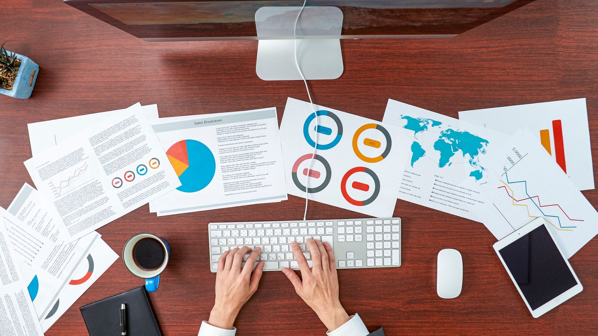 Insights & Reporting